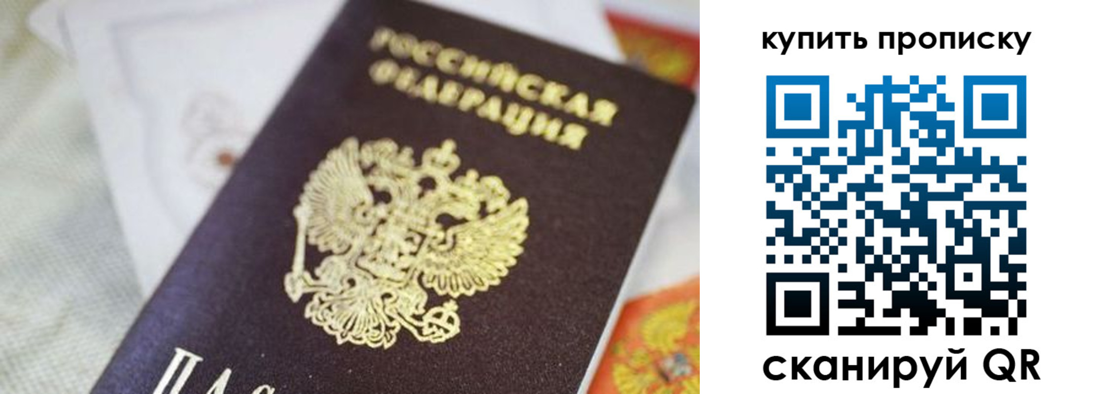 прописка для школы в Волгограде
